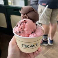   at Crave Ice Cream in Ventnor