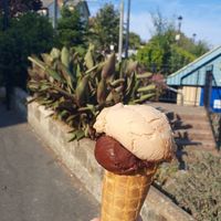 Chocolate orange and gingerbread at Crave Ice Cream in Ventnor