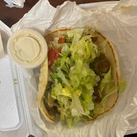 Falafel hummus wrap  at Gyro Plus in Gainesville