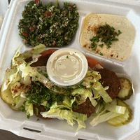 Falafel Hummus Platter  at Gyro Plus in Gainesville