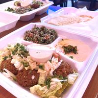  #Veganuary at Gyro Plus in Gainesville