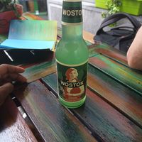 Wostok gember dragon at Sunshine in Breda