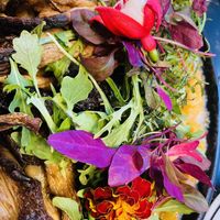   at 26 Vegan Food Project in Lisbon