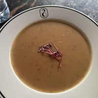 Daily soup  at 26 Vegan Food Project in Lisbon