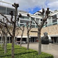   at Kindness Vegan in Darlinghurst