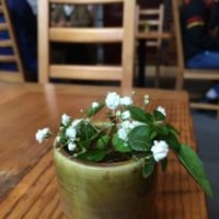 Lovely table top mini flowers at Behind the Museum Cafe in Portland