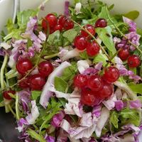 salad from vegan share platter at Kohvik Kroon in Parnu
