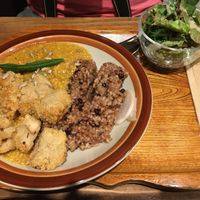 Vegan curry with fried wheat gluten cutlets at Kissa Saeki in Hiroshima