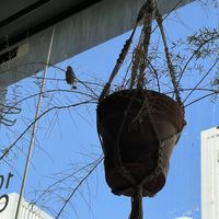 Little birds that took over and made it their home 😄  at Wild & The Moon - Al Quoz in Dubai