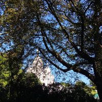 A few tables outside on the street where you can see the Sacre Coeur through the trees at Sweet Rawmance in Paris