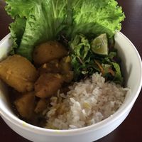 Veg Curry at Life House Organic Restaurant in La Fortuna