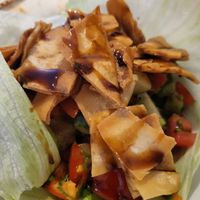  at The Cedar Tree in Dublin