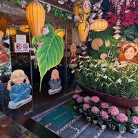  at Buddha Chay - District 1 in Ho Chi Minh City