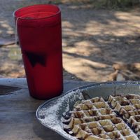 Gofre vegano y te de bolsa  at Waffle Monkey in Tamarindo