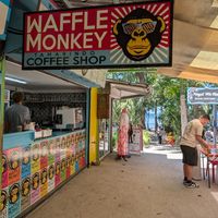  at Waffle Monkey in Tamarindo