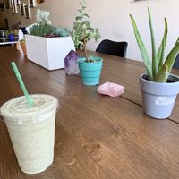 🌱 at Auraganic in Chino