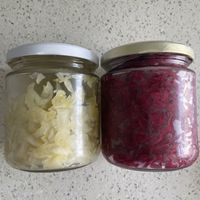 Chucrut  at Naturlandia in Lima