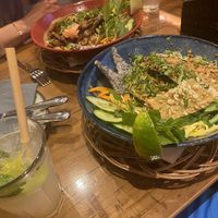 Both vegan - one with vegan beef and the one in the front with eggplant, vegan minced meat and crispy tofu. They offer fresh coconut water as well!  at 36 Pho Co in Weimar