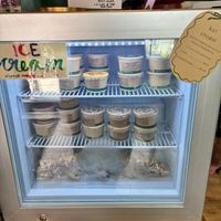 Ice Cream at Lagusta's Luscious Cafe in New Paltz