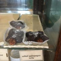Salted Galapagos turtle at Lagusta's Luscious Cafe in New Paltz