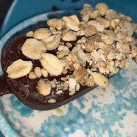 Peanut butter icecream bar  at Lagusta's Luscious Cafe in New Paltz