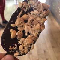 Chocolate covered peanut butter & caramel ice cream bar at Lagusta's Luscious Cafe in New Paltz