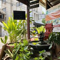   at Bodhi Tree Cafe in Chiang Mai