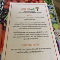   at Bodhi Tree Cafe in Chiang Mai