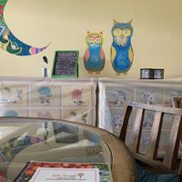   at Bodhi Tree Cafe in Chiang Mai