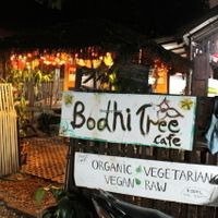 Bodhi Tree from the small alley behind De Naga hotel.  at Bodhi Tree Cafe in Chiang Mai