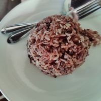 Rice at Bodhi Tree Cafe in Chiang Mai