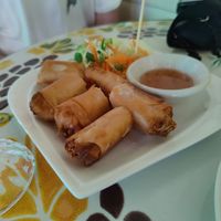 Spring rolls at Bodhi Tree Cafe in Chiang Mai