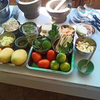 Cooking class at Bodhi Tree Cafe in Chiang Mai