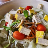  at Bodhi Tree Cafe in Chiang Mai