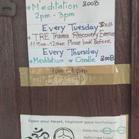  at Bodhi Tree Cafe in Chiang Mai