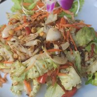 Burmese salad #Veganuary at Bodhi Tree Cafe in Chiang Mai