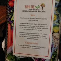 #Veganuary at Bodhi Tree Cafe in Chiang Mai