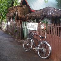 street front at Bodhi Tree Cafe in Chiang Mai