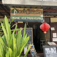   at Bodhi Tree Cafe in Chiang Mai