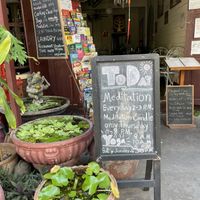   at Bodhi Tree Cafe in Chiang Mai
