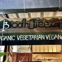  at Bodhi Tree Cafe in Chiang Mai