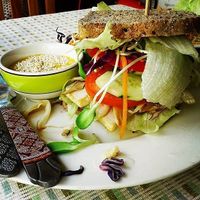 Sandwich at Bodhi Tree Cafe in Chiang Mai