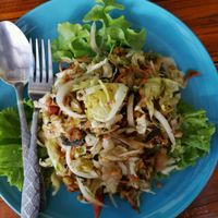 Burmese tea leaf salad at Bodhi Tree Cafe in Chiang Mai