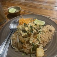   at Bodhi Tree Cafe in Chiang Mai