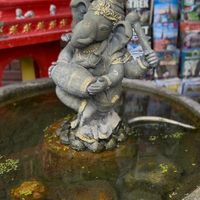   at Bodhi Tree Cafe in Chiang Mai