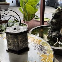   at Bodhi Tree Cafe in Chiang Mai