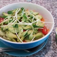 Avocado salad at Bodhi Tree Cafe in Chiang Mai