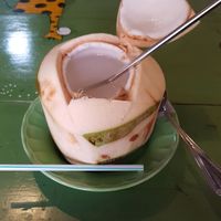 Coconut Water at Bodhi Tree Cafe in Chiang Mai