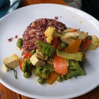 Penang curry with rice 🍛 at Bodhi Tree Cafe in Chiang Mai