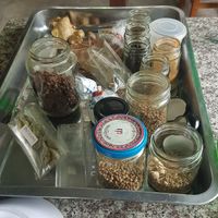 Different herbs and spices that we used at Bodhi Tree Cafe in Chiang Mai